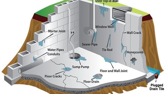 4 Health Hazards Basement Waterproofing Can Resolve - Baltimore 