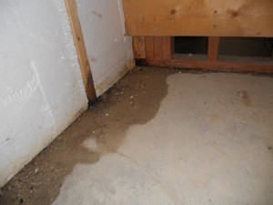 Wet Basements | Beltsville, MD | AquaGuard Waterproofing