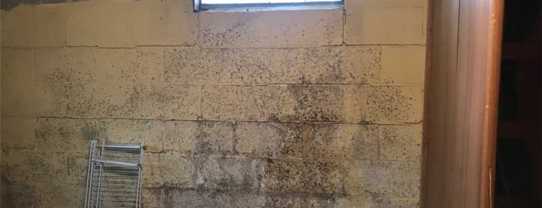 Foundation Repair | Beltsville, MD | AquaGuard Waterproofing