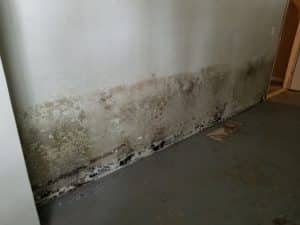 black-mold-walls-beltsville-md-aquaguard-waterproofing