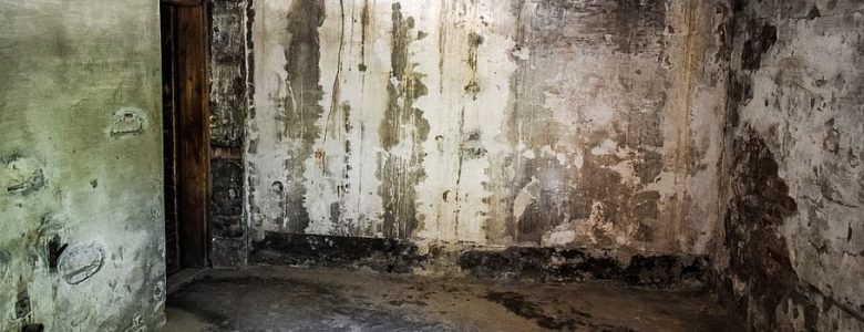 basement-waterproofing-aquaguard-waterproofing-1