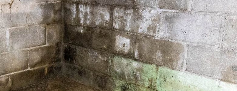 basement-waterproofing-aquaguard-waterproofing-3