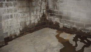 Damp basement corner with wet concrete floor and stained brick walls, conveying neglect and water damage. A pool of water creates a somber tone.