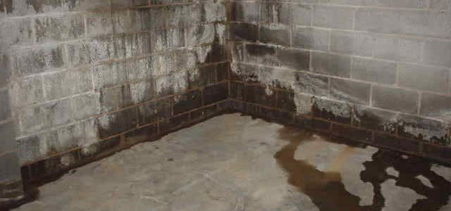 Damp basement corner with wet concrete floor and stained brick walls, conveying neglect and water damage. A pool of water creates a somber tone.